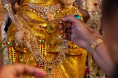 Notre-Dame-de-Velankanni-2025-011